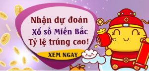 soi cầu víp lô 8 con miền bắc